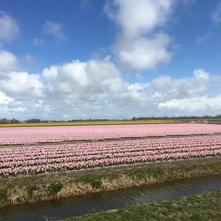 De Veldwachter 4* 't Zand