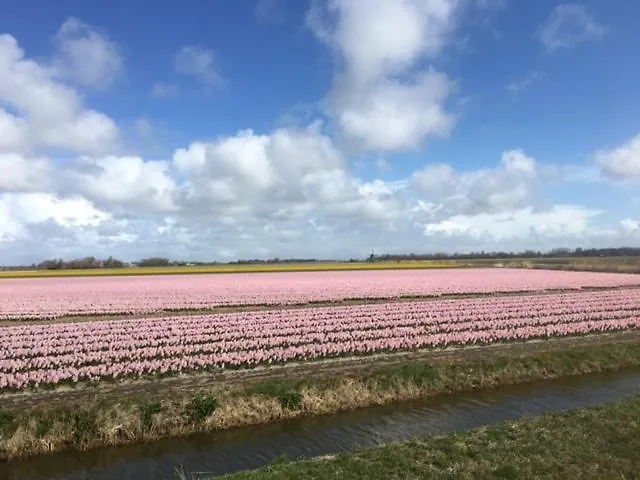 De Veldwachter 4* 't Zand